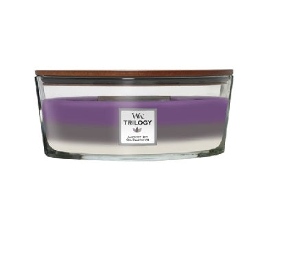 WoodWick Trilogy Amethyst Sky Hajó